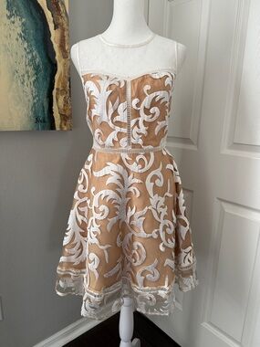 Ark & Co. Sheer Ivory Embroidered Dress